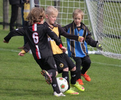 VordenF4-Viod F5 2-9